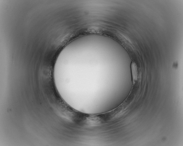 X0000090500603200707280003