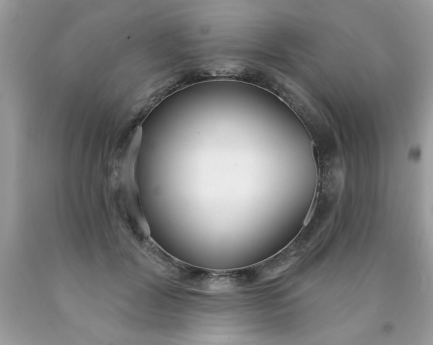 X0000090500604200707280003