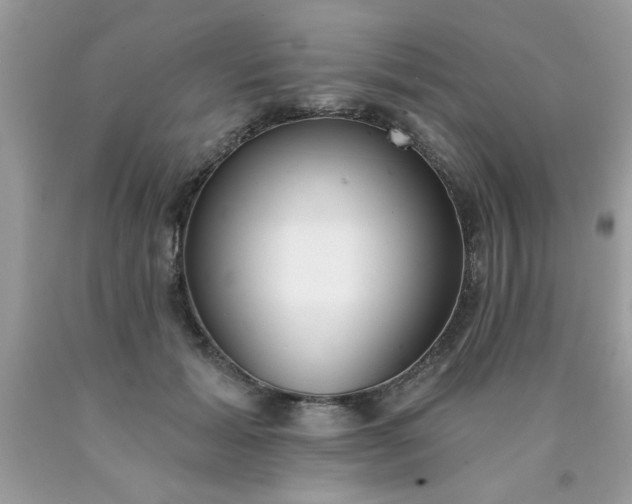 X0000090500605200707280003