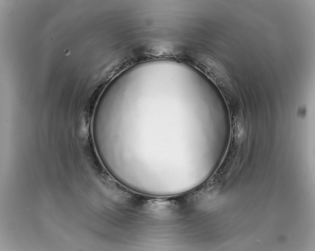 X0000090500607200707280003