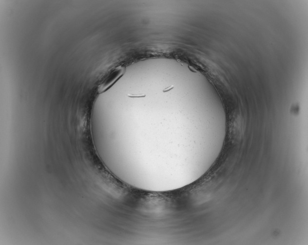 X0000090500608200707280003