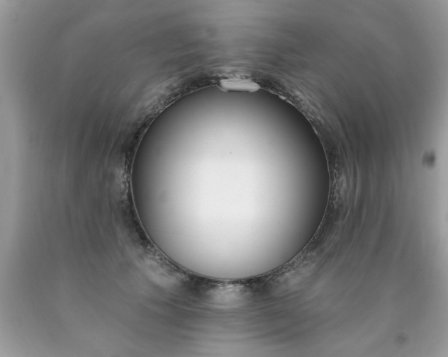 X0000090500609200707280003