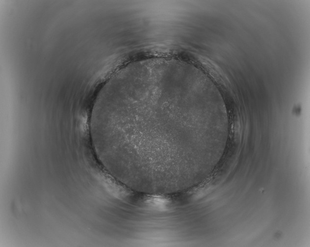 X0000090500610200707280003