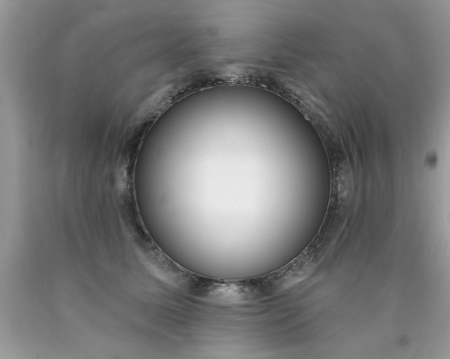 X0000090500611200707280003