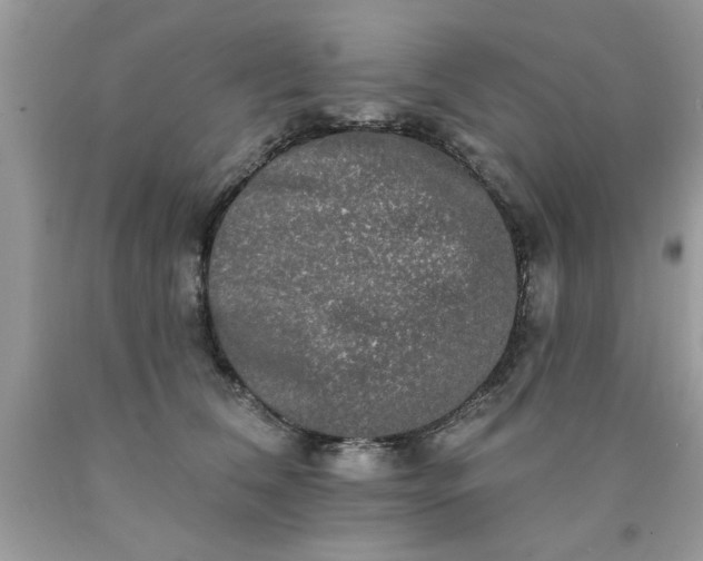 X0000090500612200707280003