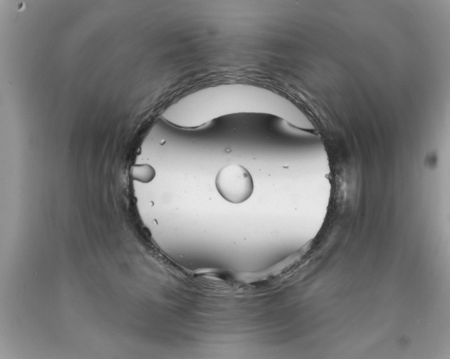 X0000090500613200707280003