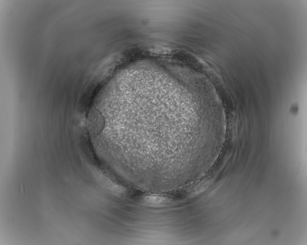 X0000090500614200707280003