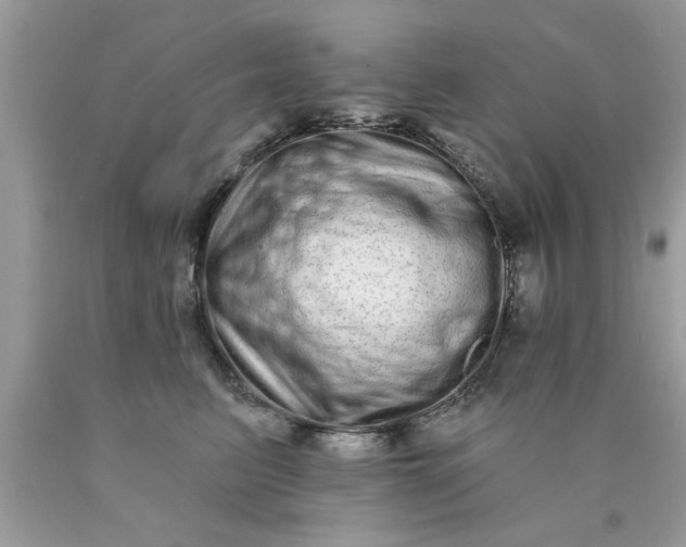 X0000090500615200707280003