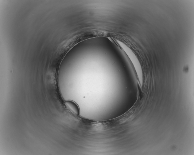 X0000090500616200707280003