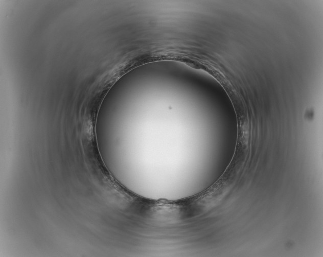 X0000090500617200707280003