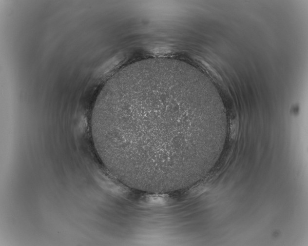 X0000090500618200707280003