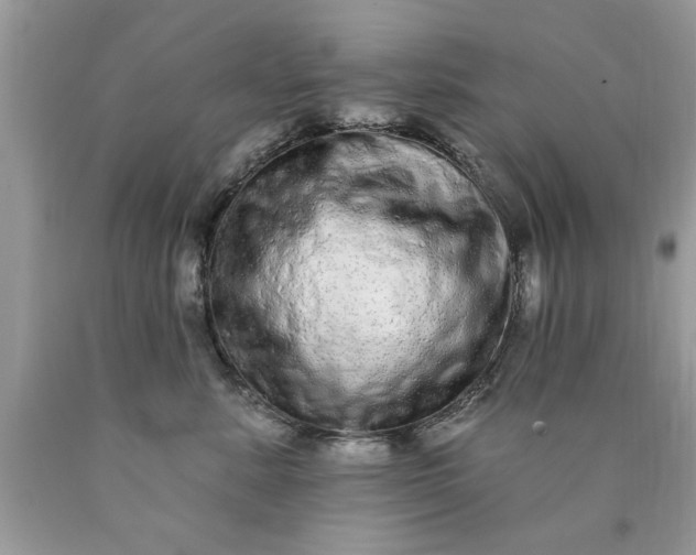 X0000090500619200707280003