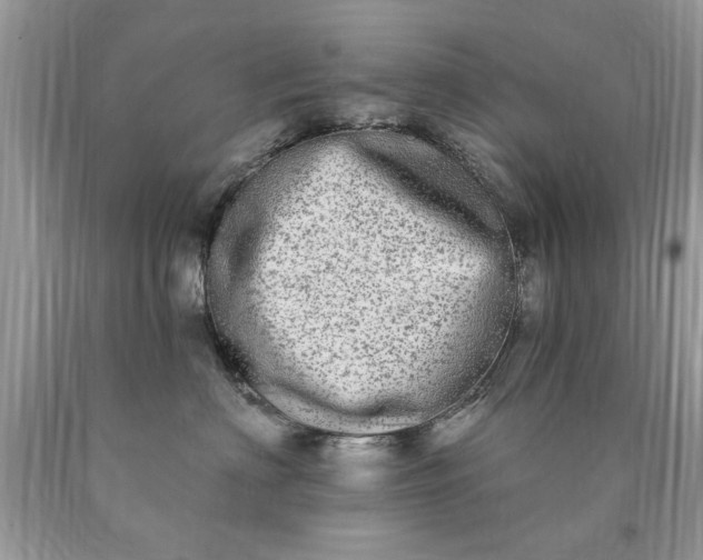 X0000090500622200707280003