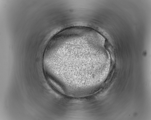 X0000090500625200707280002