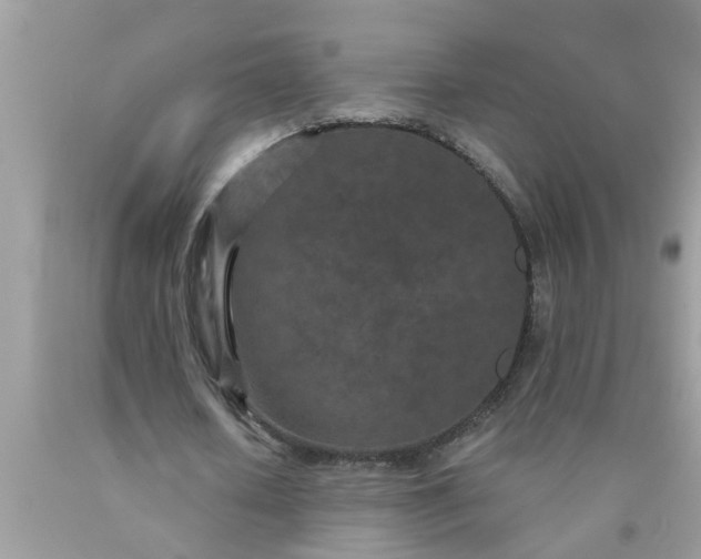 X0000090500626200707280002