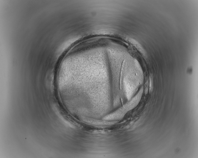 X0000090500627200707280002