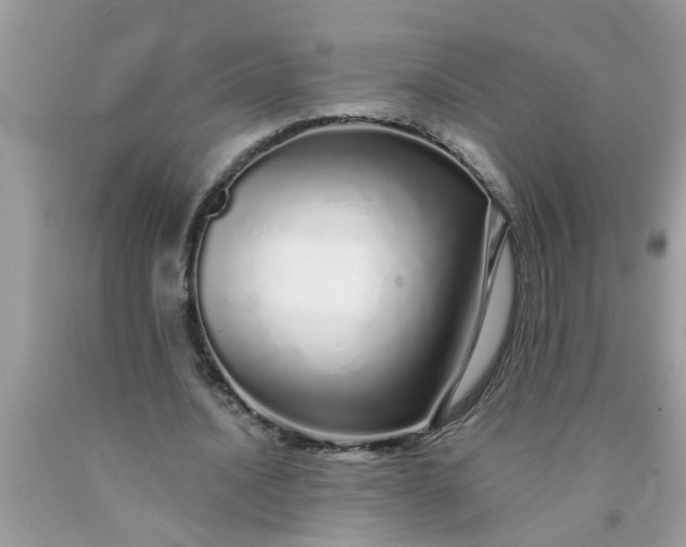 X0000090500628200707280002