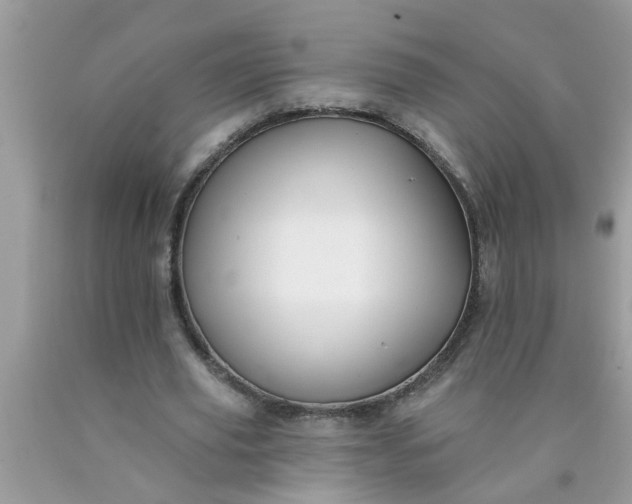 X0000090500629200707280002