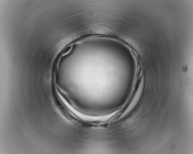 X0000090500630200707280002