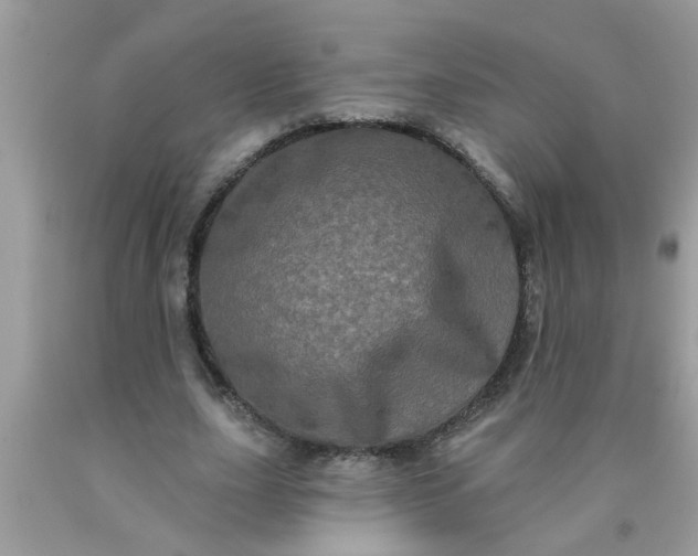 X0000090500631200707280002