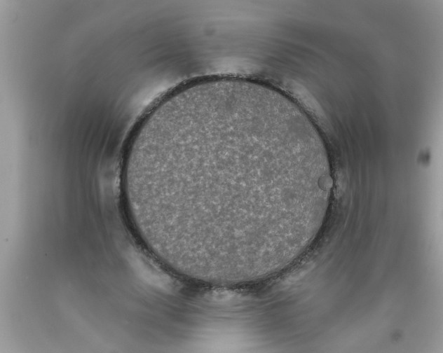 X0000090500632200707280002