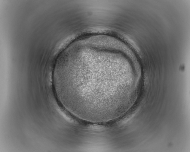 X0000090500633200707280002