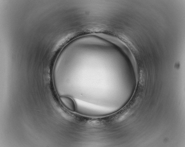 X0000090500634200707280002