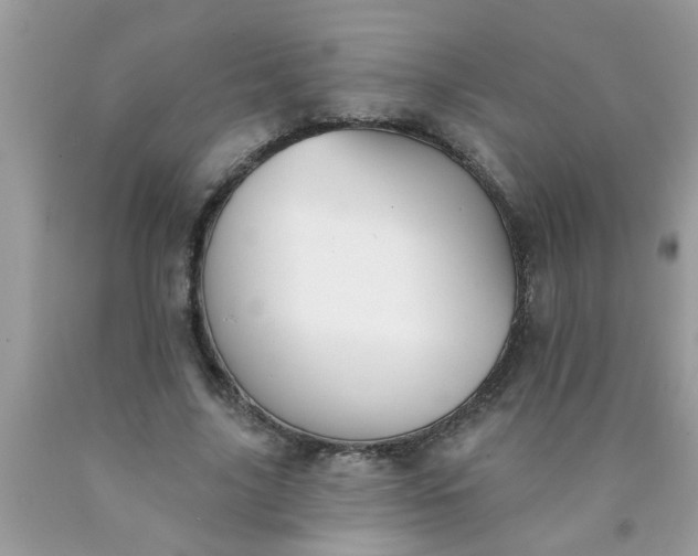 X0000090500635200707280002