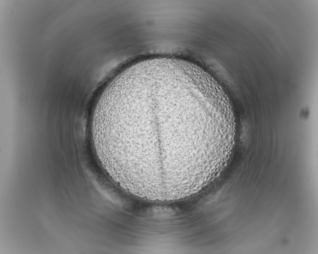 X0000090500636200707280002