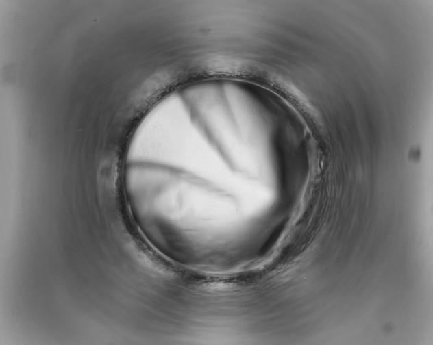 X0000090500637200707280002