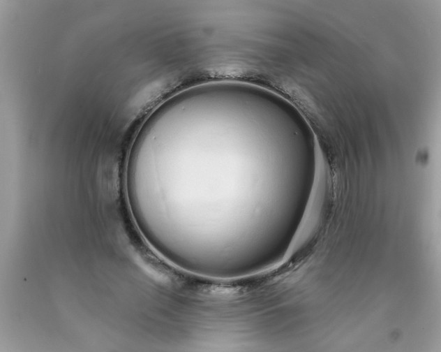 X0000090500638200707280002