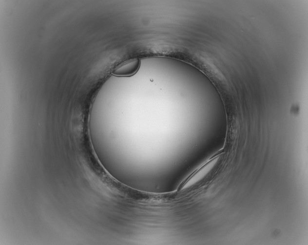 X0000090500639200707280002