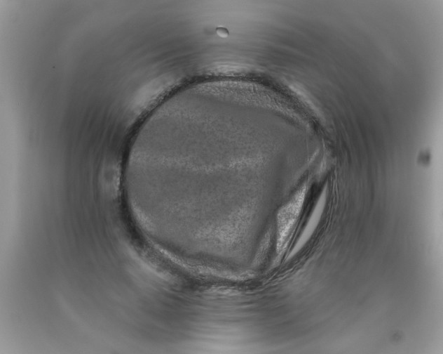 X0000090500640200707280002