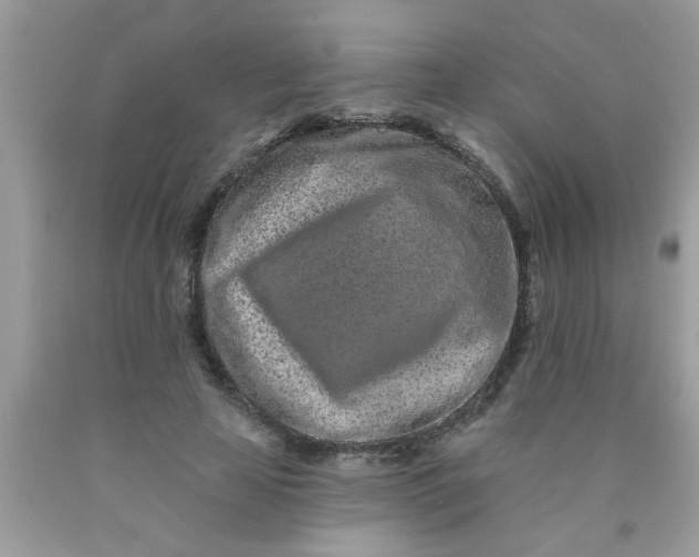 X0000090500641200707280002