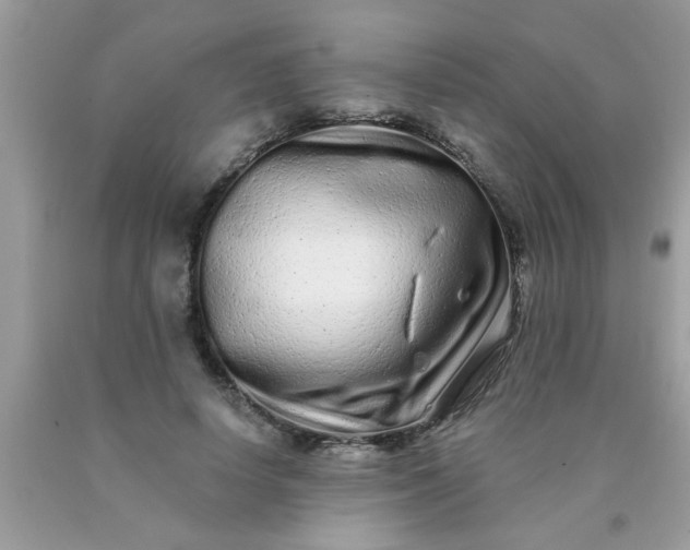 X0000090500642200707280002