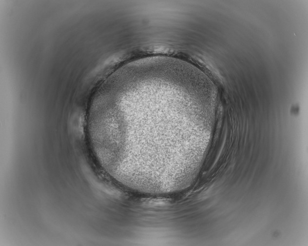 X0000090500643200707280002