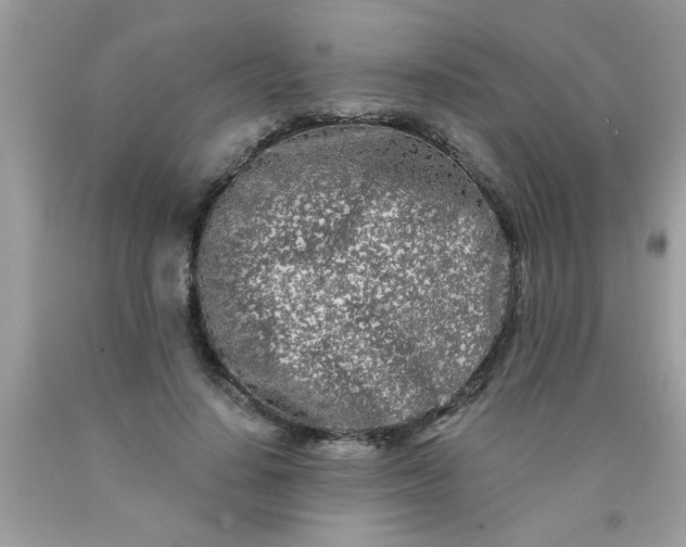 X0000090500644200707280002