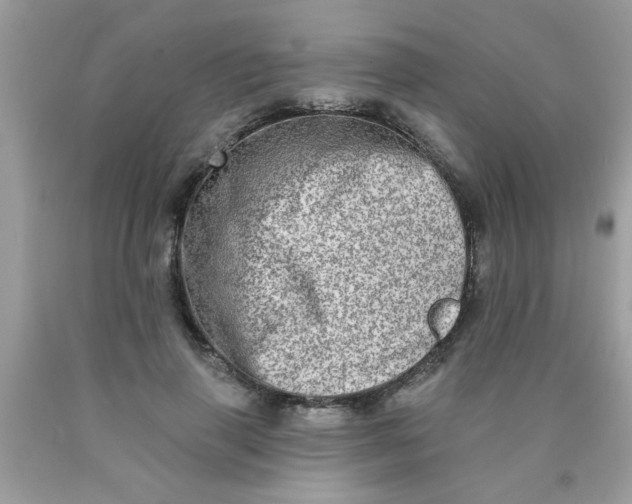 X0000090500645200707280002