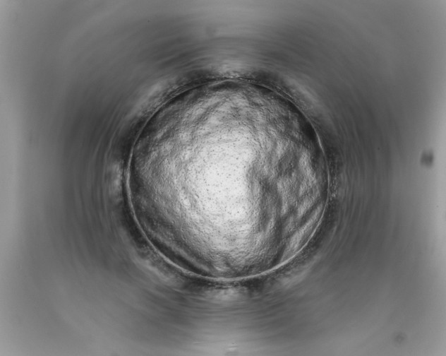 X0000090500646200707280002