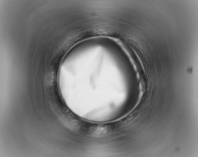 X0000090500647200707280002