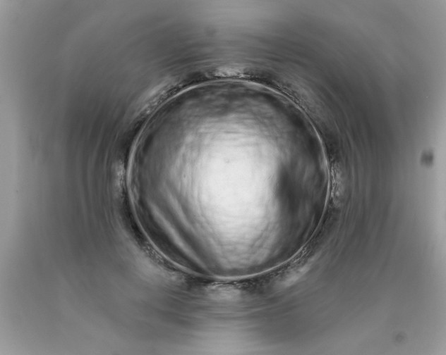 X0000090500648200707280002