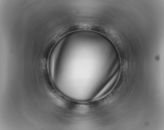 X0000090500649200707280002