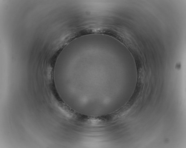 X0000090500650200707280002