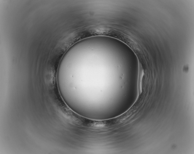 X0000090500651200707280002