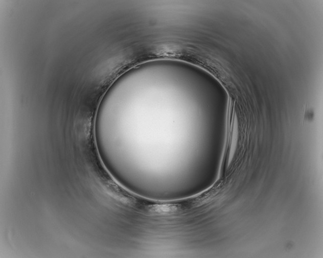 X0000090500652200707280002