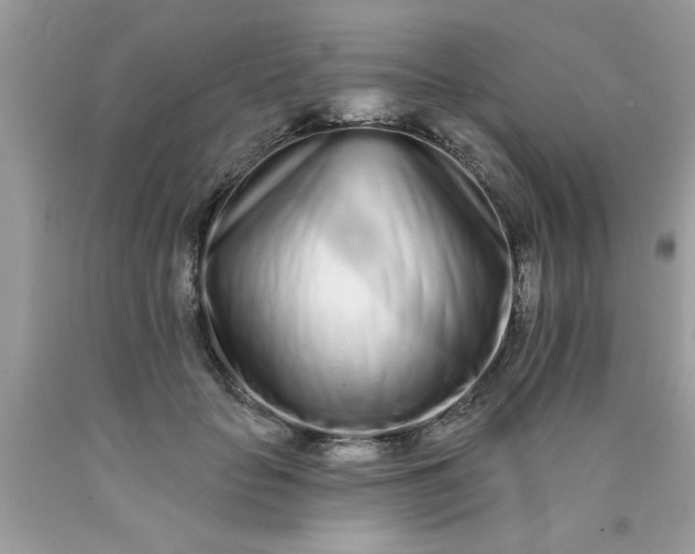 X0000090500653200707280002