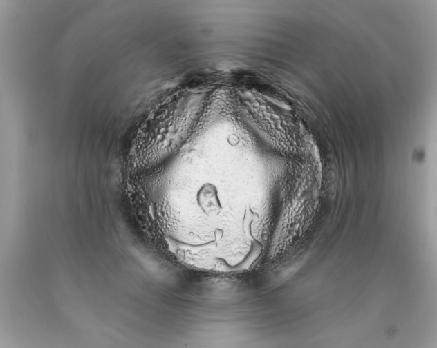 X0000090500654200707280002