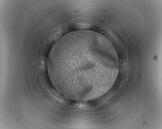 X0000090500655200707280002