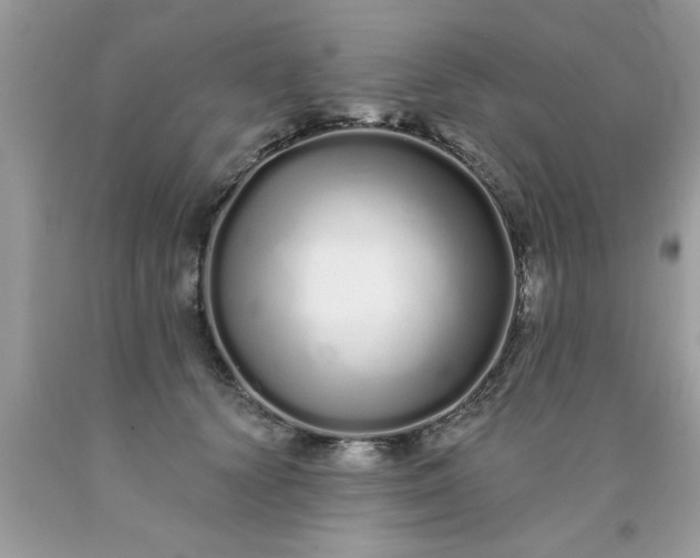 X0000090500656200707280002