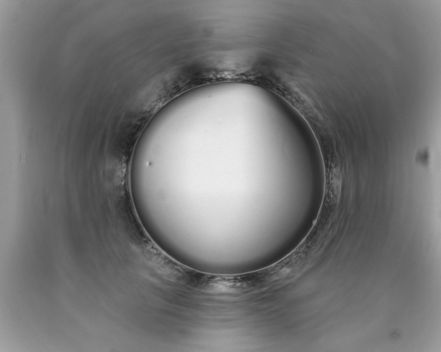 X0000090500657200707280002